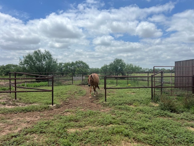 7809 Alma Jo Dr, San Angelo, TX 76905 - photo 62
