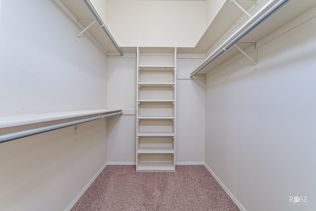 spacious closet featuring carpet floors