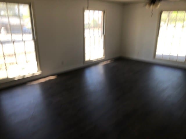 empty room featuring a wealth of natural light, wood finished floors, and a ceiling fan