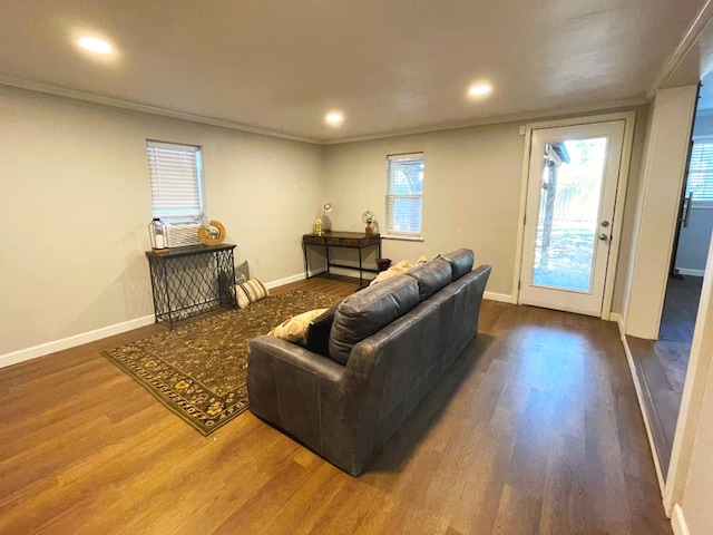 living room with crown molding and dark hardwood / wood-style floors