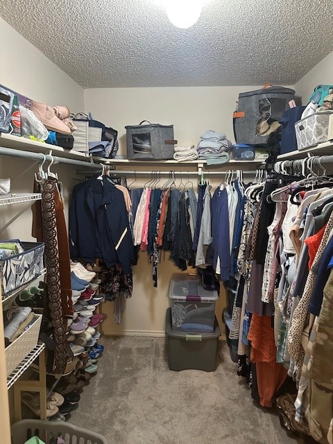 1227 Elmo Ln, San Angelo, TX 76905 - walk in closet with carpet flooring