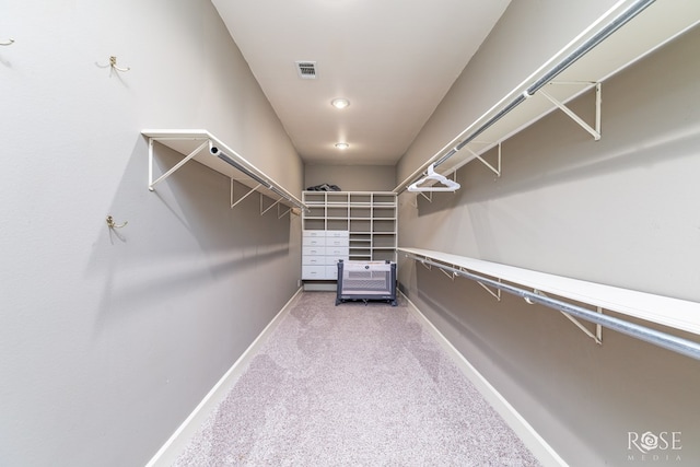 walk in closet featuring carpet floors