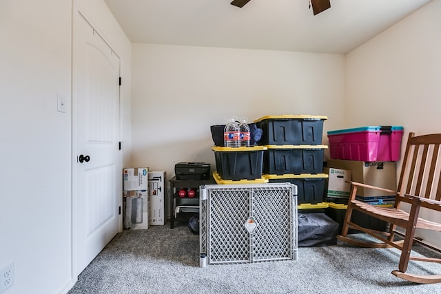 storage room with ceiling fan