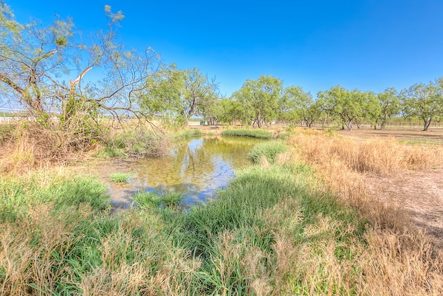 view of local wilderness with a water view