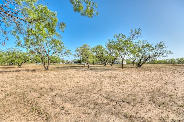 view of yard with a rural view