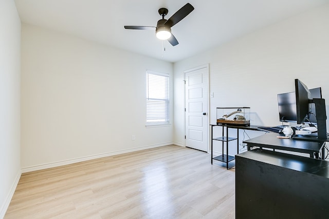 office space with ceiling fan and light hardwood / wood-style floors