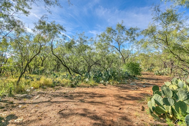 view of local wilderness