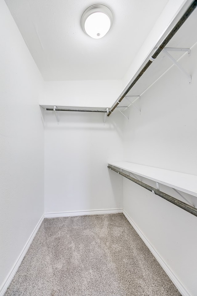 spacious closet with light colored carpet