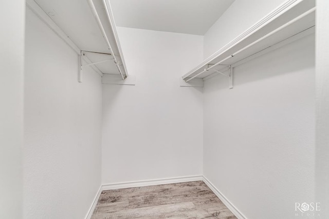 spacious closet featuring wood finished floors
