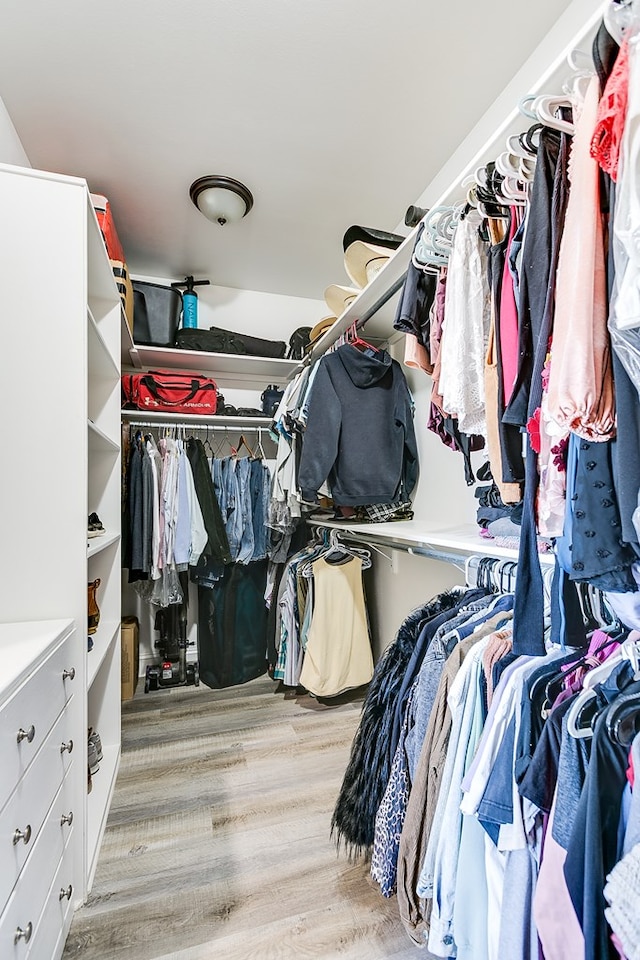 spacious closet featuring light wood finished floors