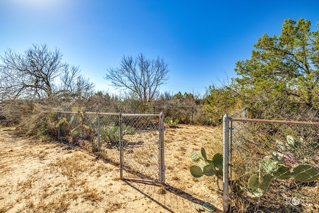 view of yard with fence and a gate