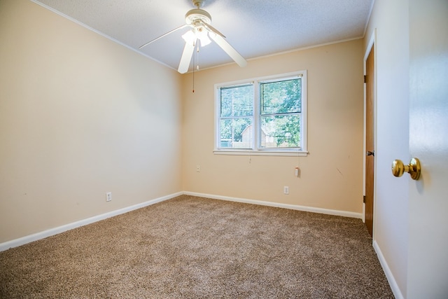 1140 E 24th St, San Angelo, TX 76903 - photo 13