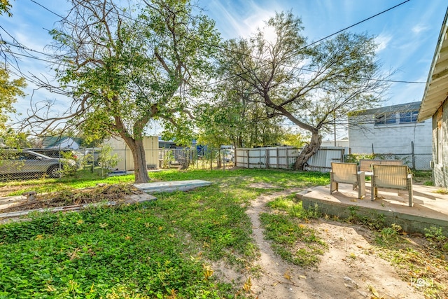 view of yard featuring a patio