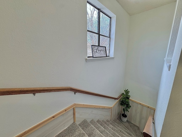 1036 Glenna Dr, San Angelo, TX 76901 - staircase with carpet