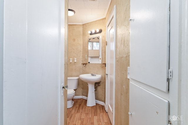 bathroom featuring wood finished floors, toilet, and a sink