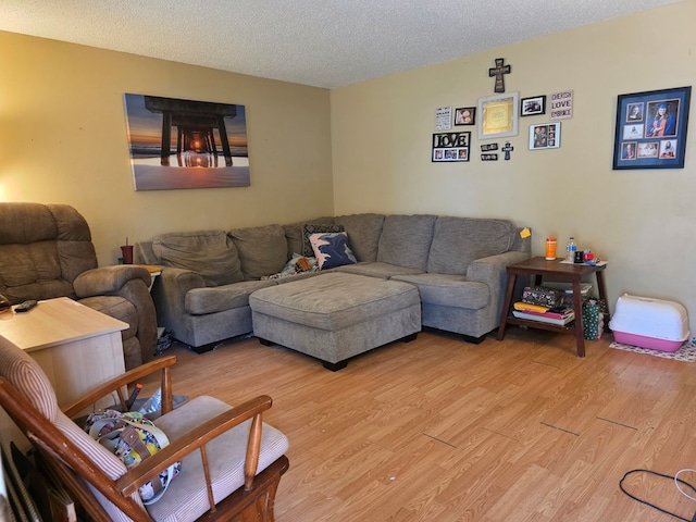 233 Robin Hood Trl, San Angelo, TX 76901 - living room featuring light wood-style floors and a textured ceiling