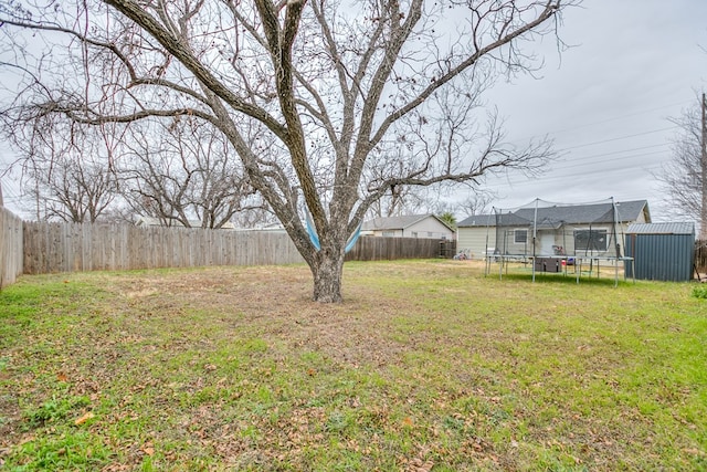 view of yard featuring a trampoline and a shed