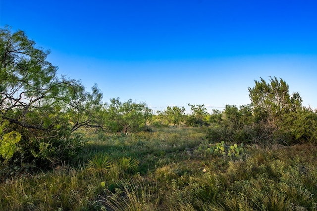 CR4131 Eden, Eden, TX 76837 - photo 23
