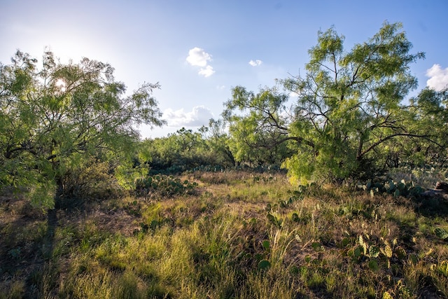 CR4131 Eden, Eden, TX 76837 - photo 6