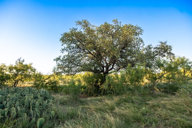 CR4131 Eden, Eden, TX 76837 - photo 32