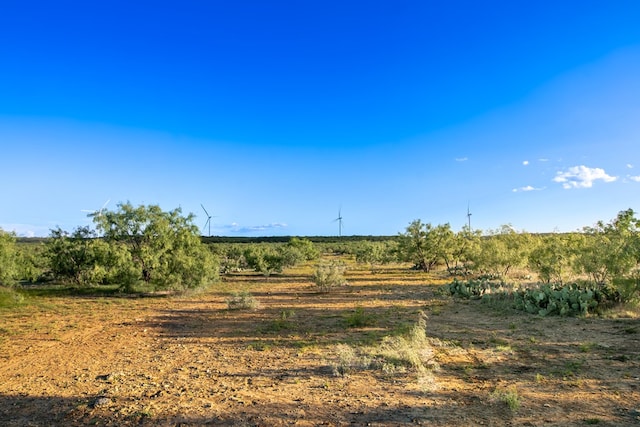 CR4131 Eden, Eden, TX 76837 - photo 21