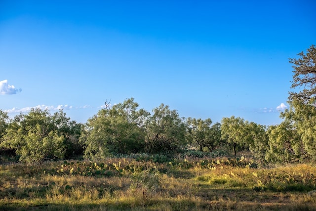 CR4131 Eden, Eden, TX 76837 - photo 29