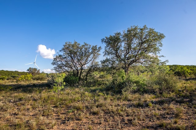 CR4131 Eden, Eden, TX 76837 - photo 5
