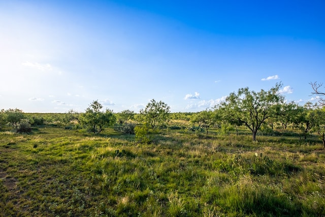 CR4131 Eden, Eden, TX 76837 - photo 22
