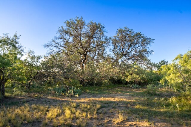 CR4131 Eden, Eden, TX 76837 - photo 17