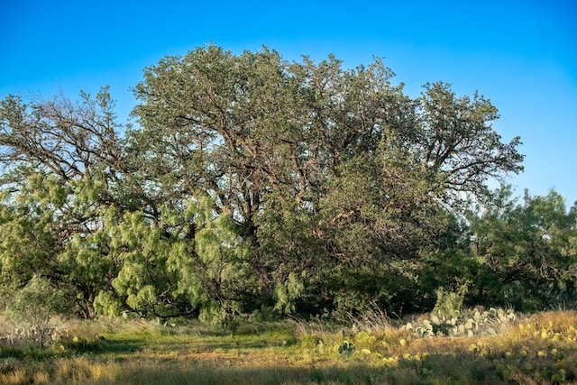CR4131 Eden, Eden, TX 76837 - photo 28