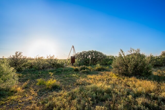 CR4131 Eden, Eden, TX 76837 - photo 42