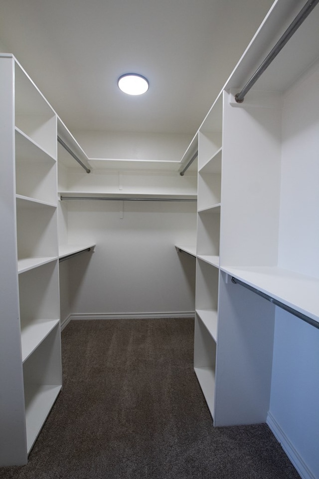 9614 Bighorn Trl, San Angelo, TX 76901 - walk in closet with carpet floors