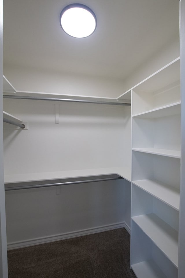 9614 Bighorn Trl, San Angelo, TX 76901 - spacious closet with dark colored carpet