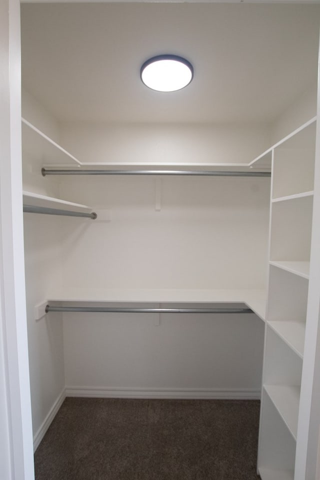 9614 Bighorn Trl, San Angelo, TX 76901 - spacious closet with dark carpet