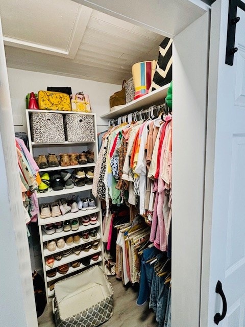 walk in closet featuring wood finished floors