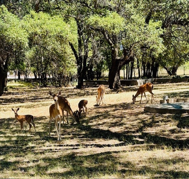 surrounding community with a rural view