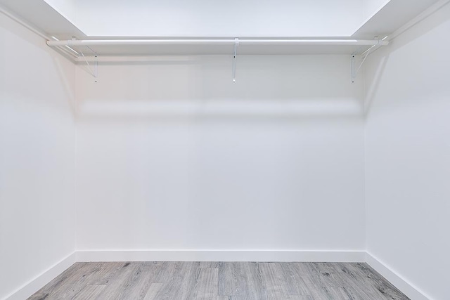 spacious closet featuring light hardwood / wood-style flooring