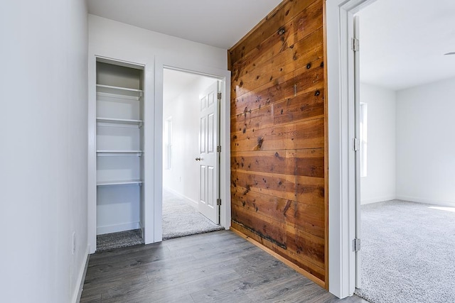 corridor featuring carpet floors and wood walls