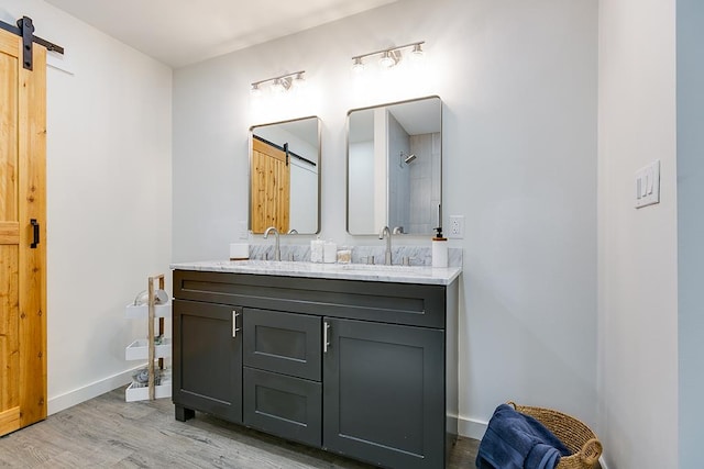 bathroom with vanity, a shower, and hardwood / wood-style floors