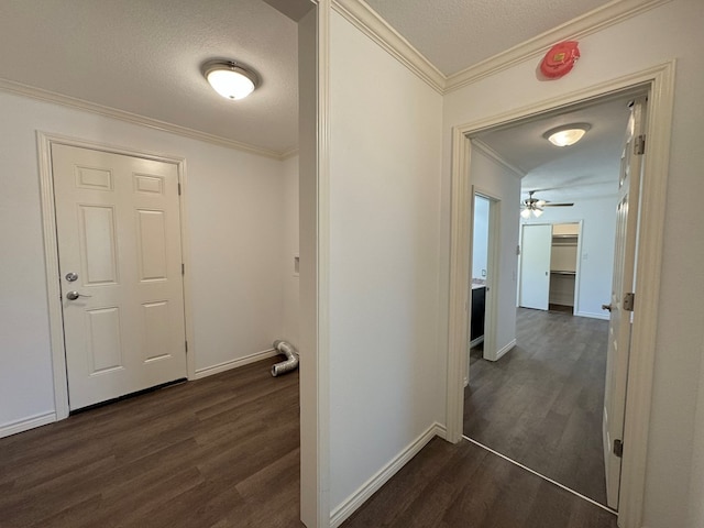 hallway featuring crown molding, dark hardwood / wood-style floors, and a textured ceiling