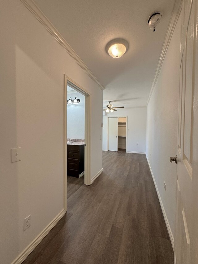 corridor with crown molding and dark hardwood / wood-style floors