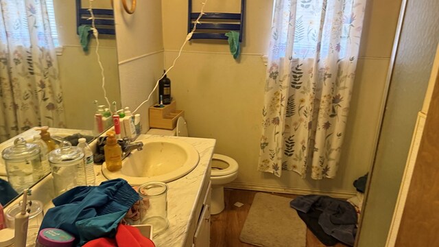 2819 Lindenwood Dr, San Angelo, TX 76904 - bathroom featuring toilet, vanity, and a shower with curtain
