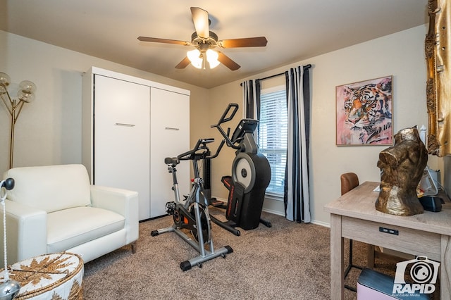 exercise area with ceiling fan and carpet