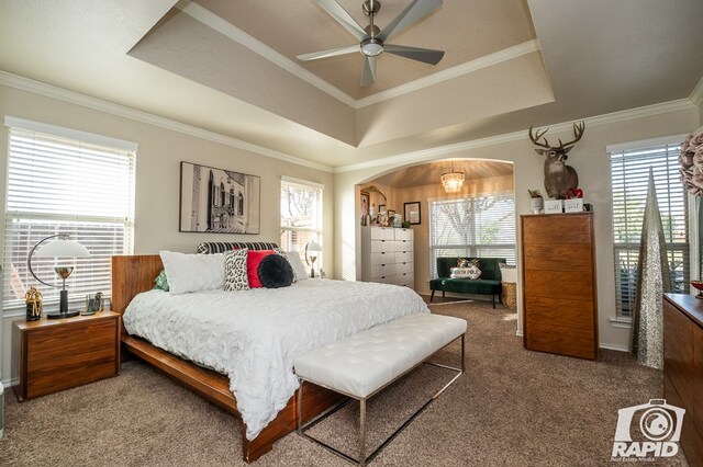 carpeted bedroom featuring crown molding, a raised ceiling, and ceiling fan