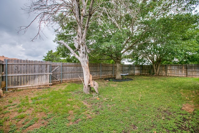 2509 1st Atlas St, San Angelo, TX 76905 - photo 28