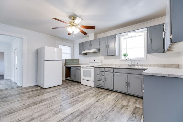 kitchen featuring plenty of natural light, gray cabinetry, a sink, and white appliances
