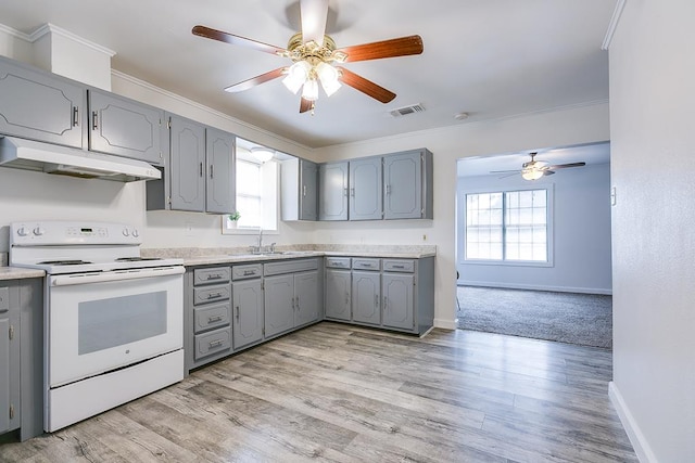 kitchen featuring gray cabinets, white electric stove, ceiling fan, and under cabinet range hood