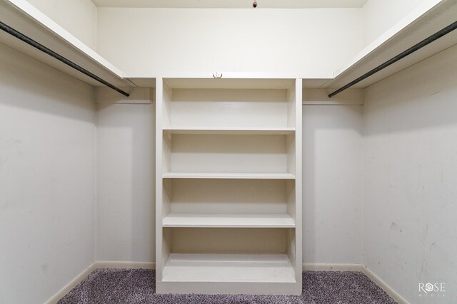 walk in closet featuring carpet floors