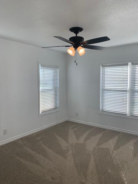 empty room featuring a healthy amount of sunlight and carpet