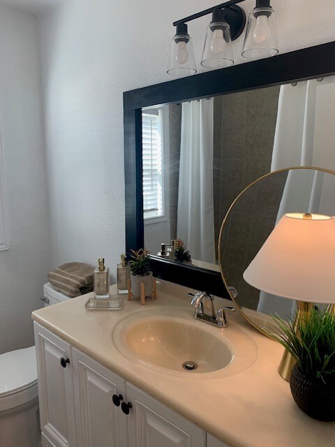 bathroom with vanity and toilet